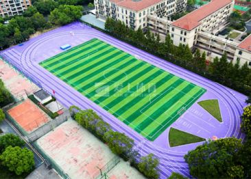 杭州市丁蘭實驗中學(xué)（國內(nèi)首條紫跑）